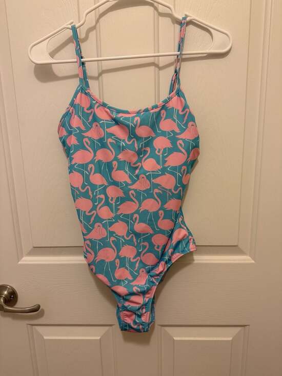 Chubbies Other - Chubbies Women's One-Piece Swimsuit in Pink Flamingo Print